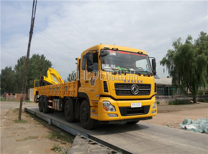 整車檢測收糧衡器承載準確度